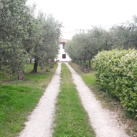 Апартаменты Casa Tra Gli Olivi